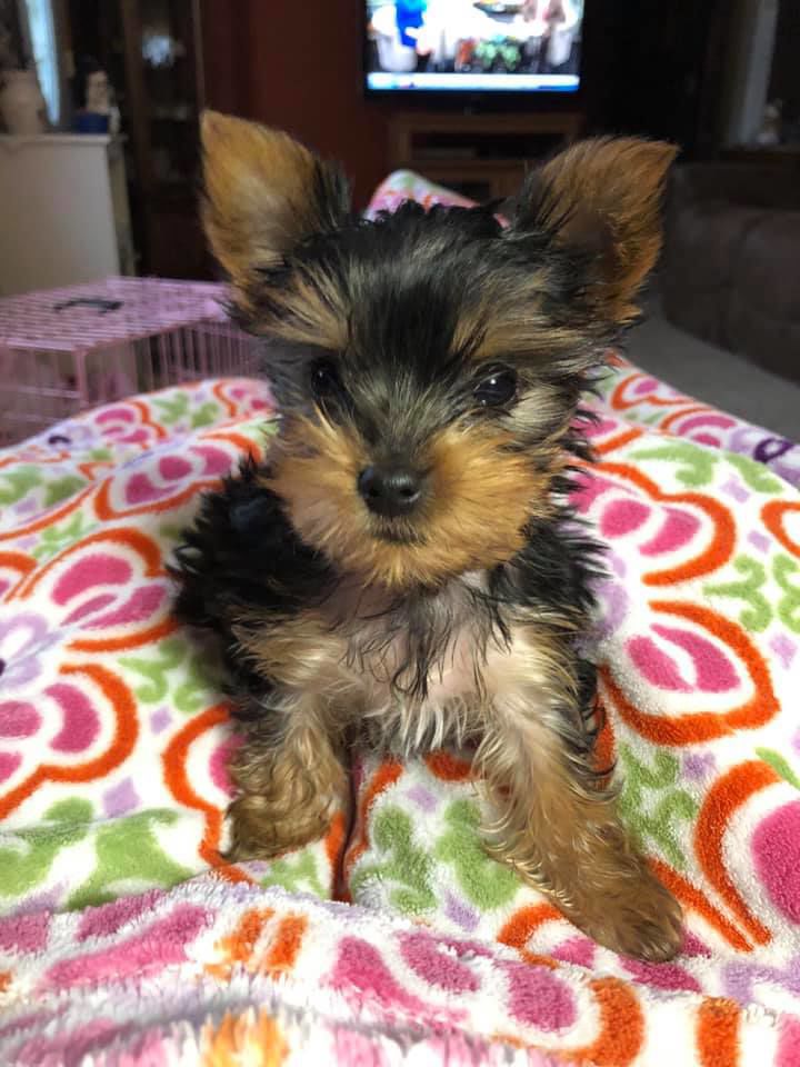 Sweet face!